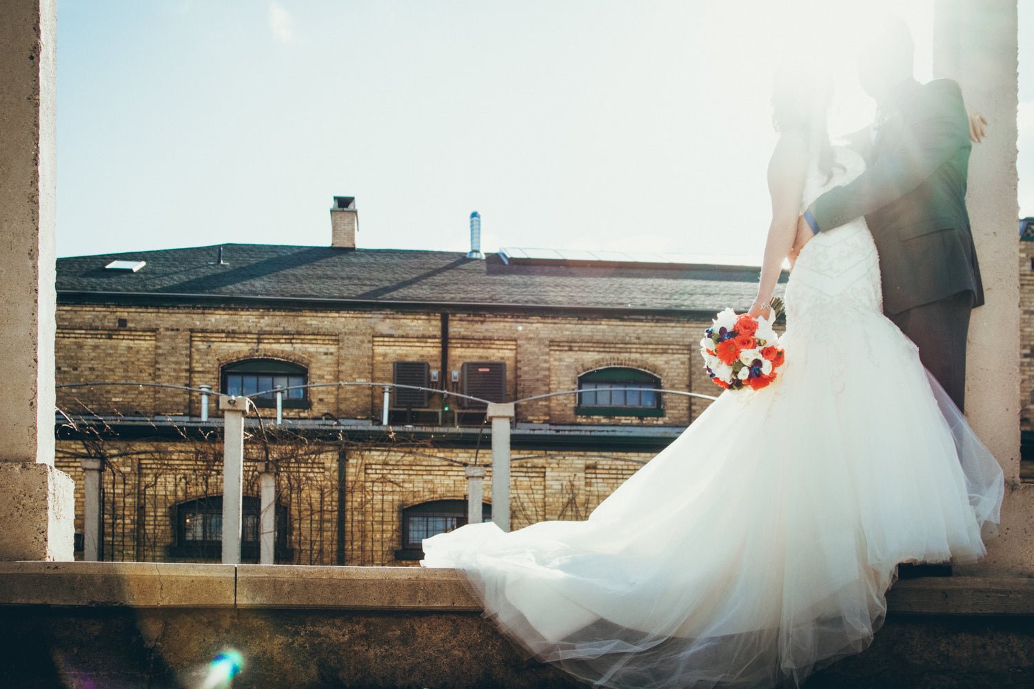 Wedding Guest Collection