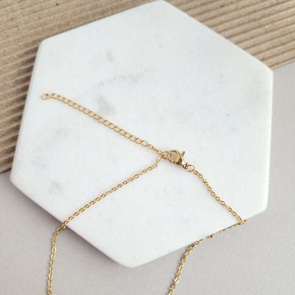 Ava Necklace - Blonde Tortoise by Spiffy & Splendid